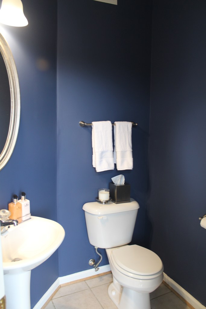 Powder Room refresh = success! English Channel by BEHR.