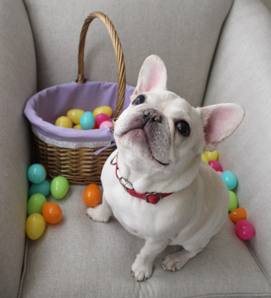 The Easter Bunny a.k.a. Little Bunny Roo Roo