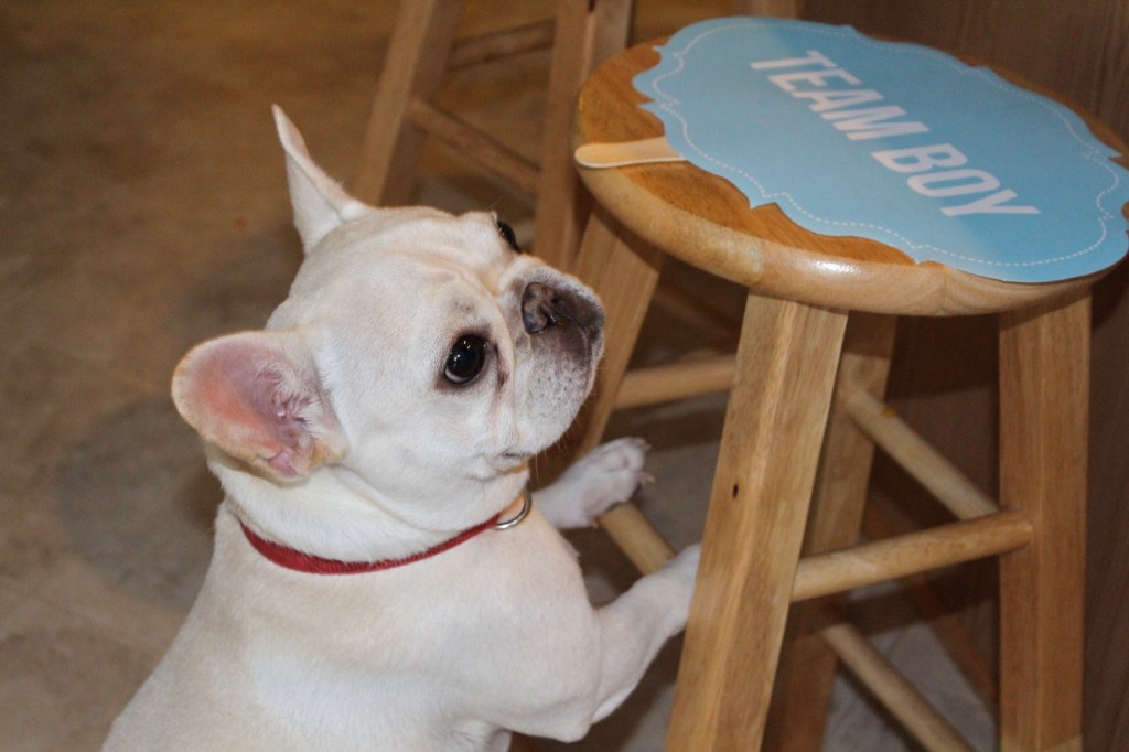 Wouldn't ya know it, Rooney even decided to place a guess!