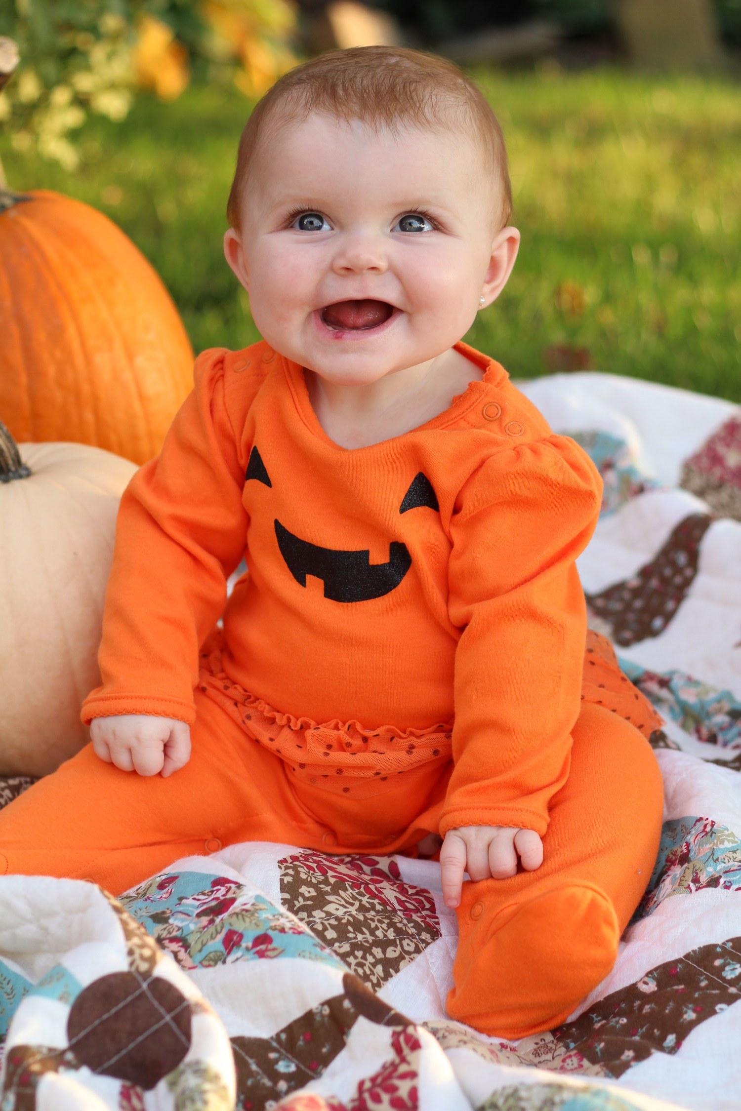 pumpkin-lucy-6180