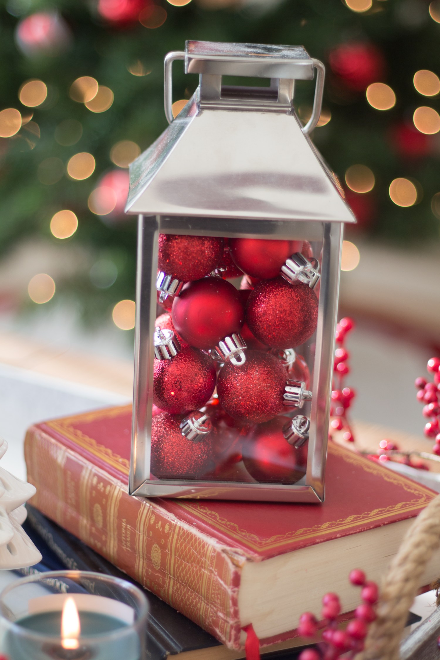 lucy-christmas-2016-8927