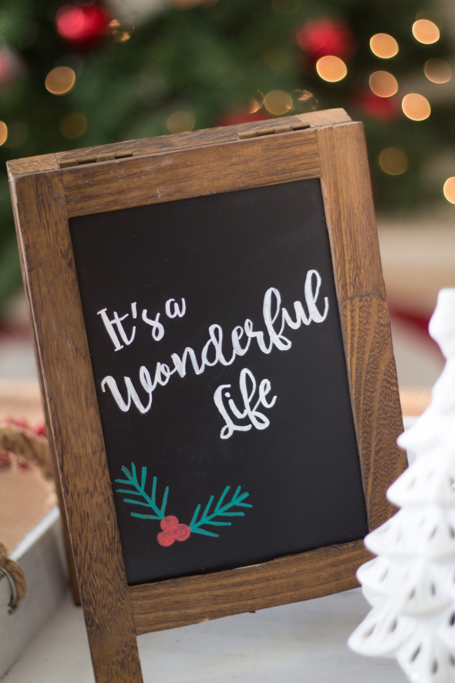 lucy-christmas-2016-8928