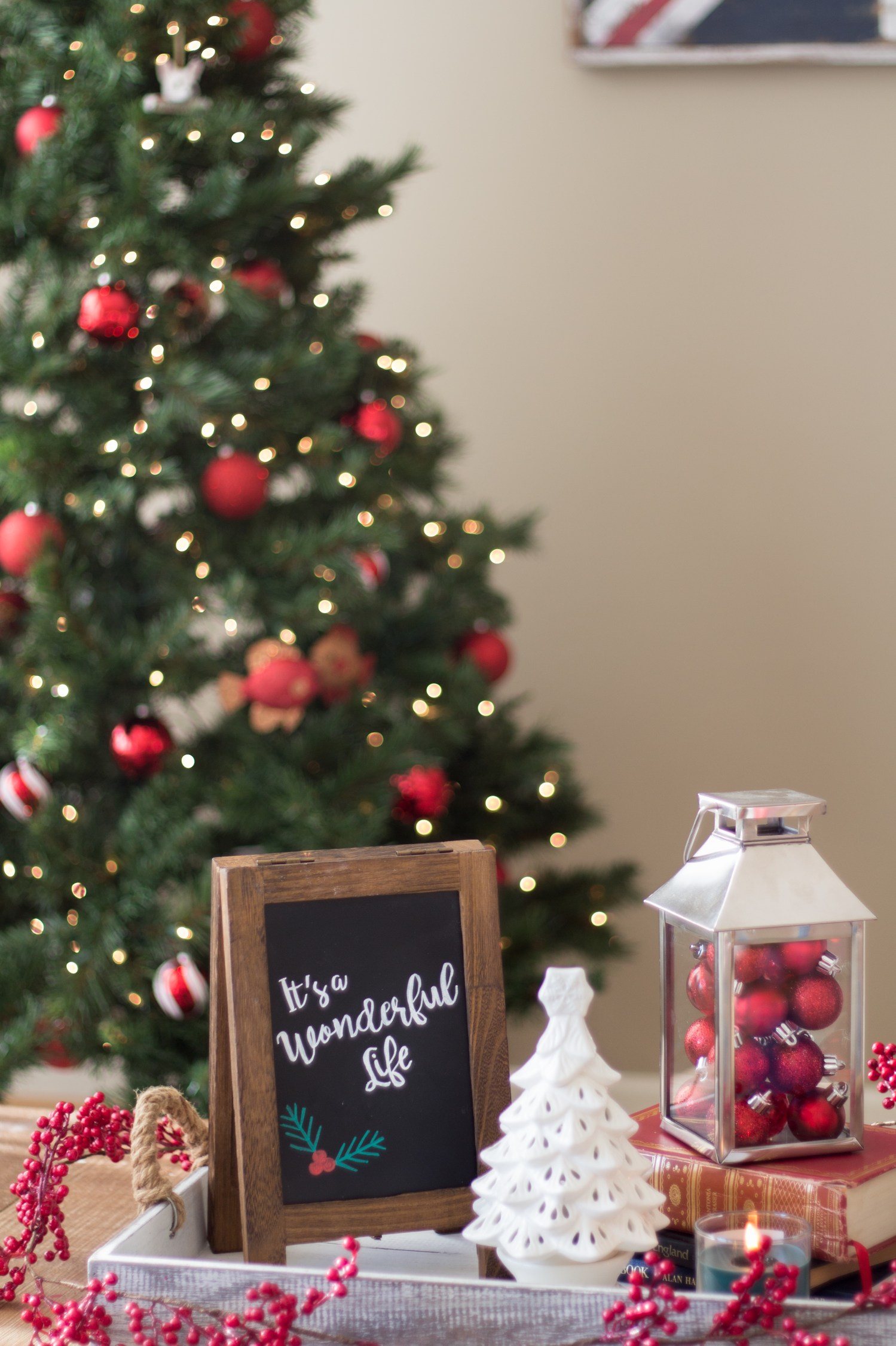 lucy-christmas-2016-8952