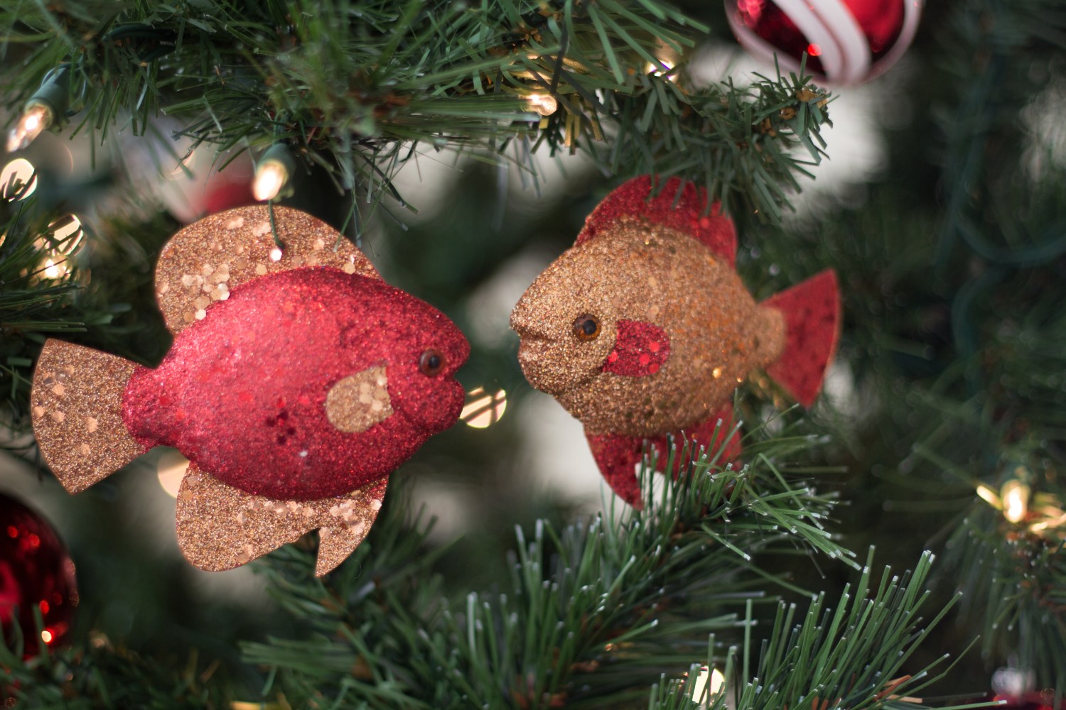 lucy-christmas-2016-8968