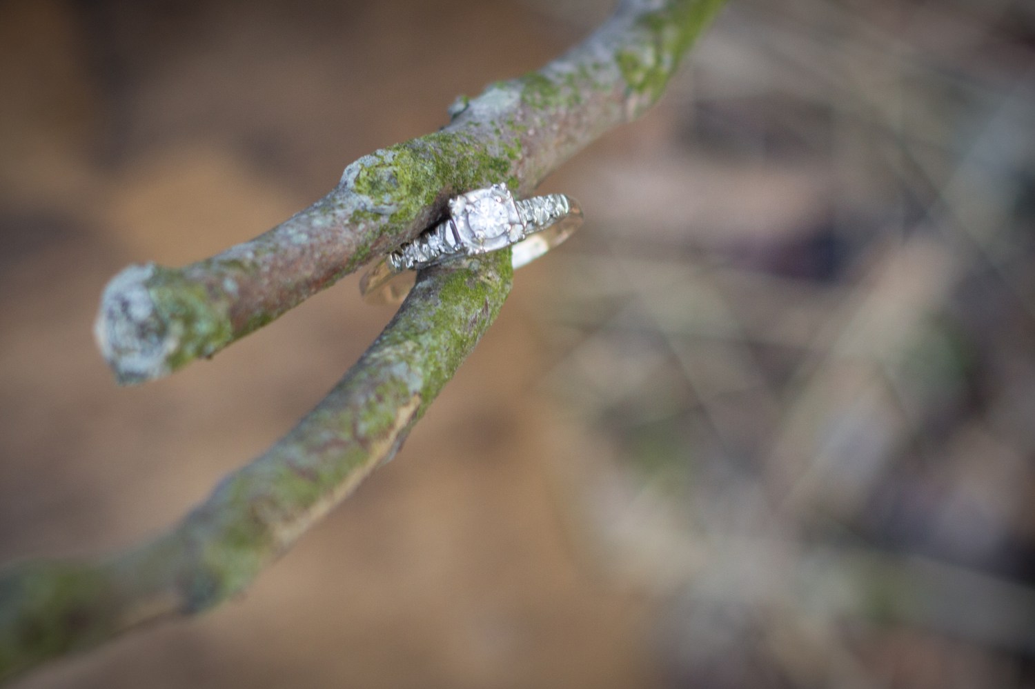 Kiersten and Jesse_Engaged-6195