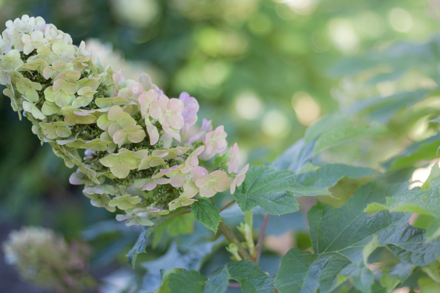 Asia_Autumn_Mommy and Me-8387