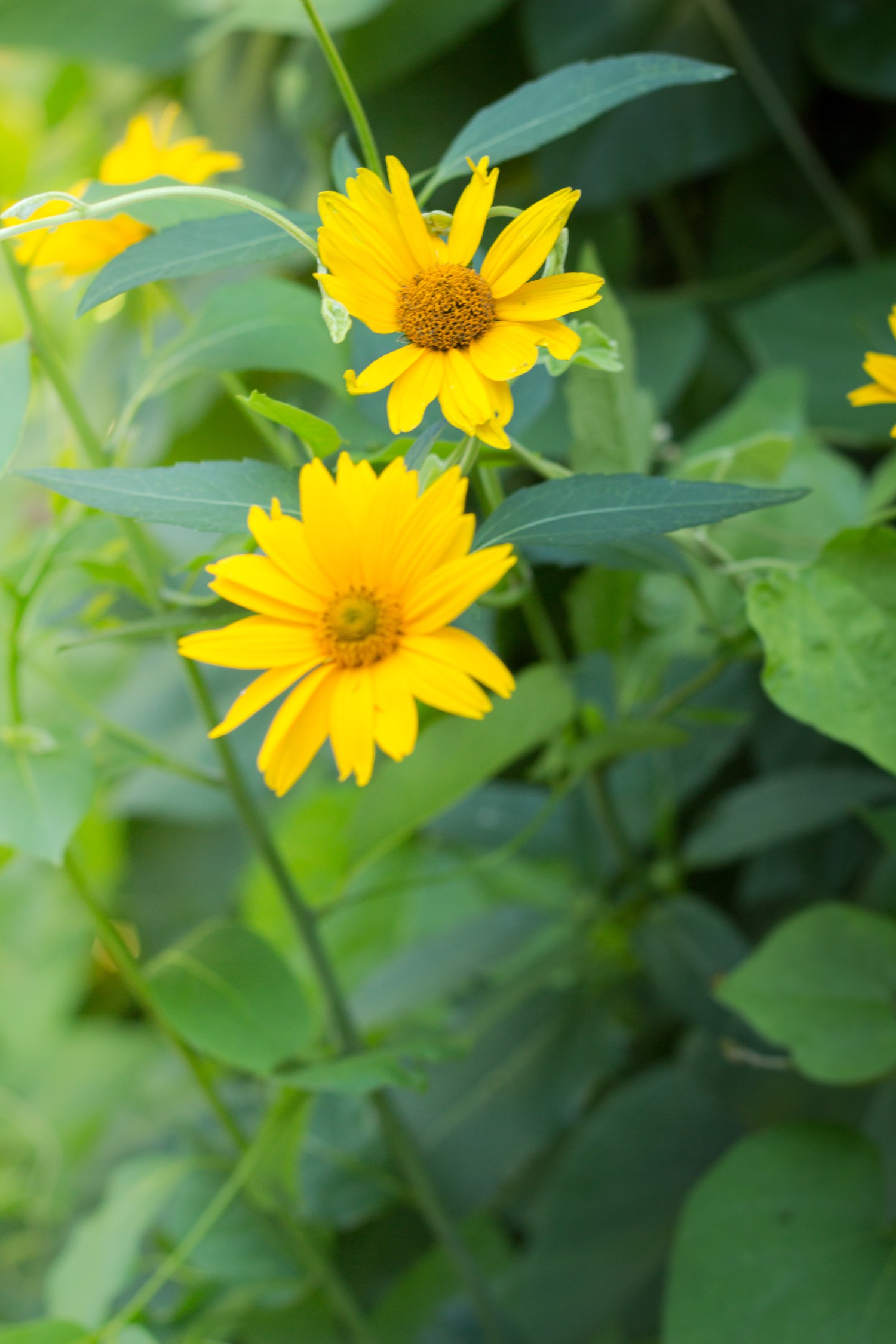 Asia_Autumn_Mommy and Me-8974-2