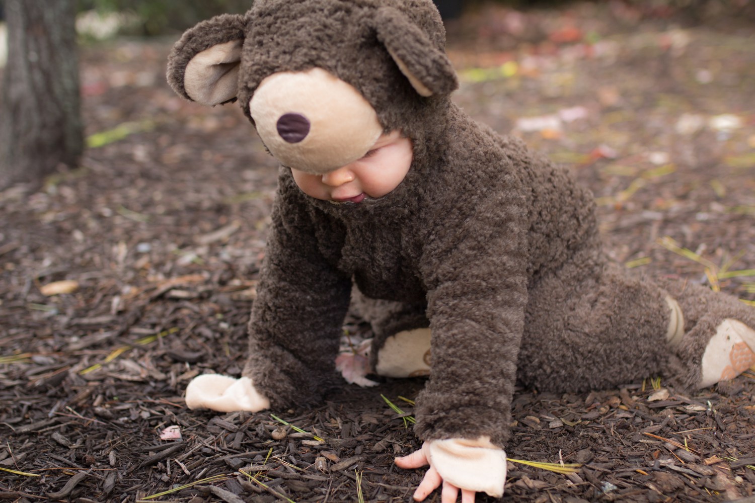 MashaandtheBear-9420