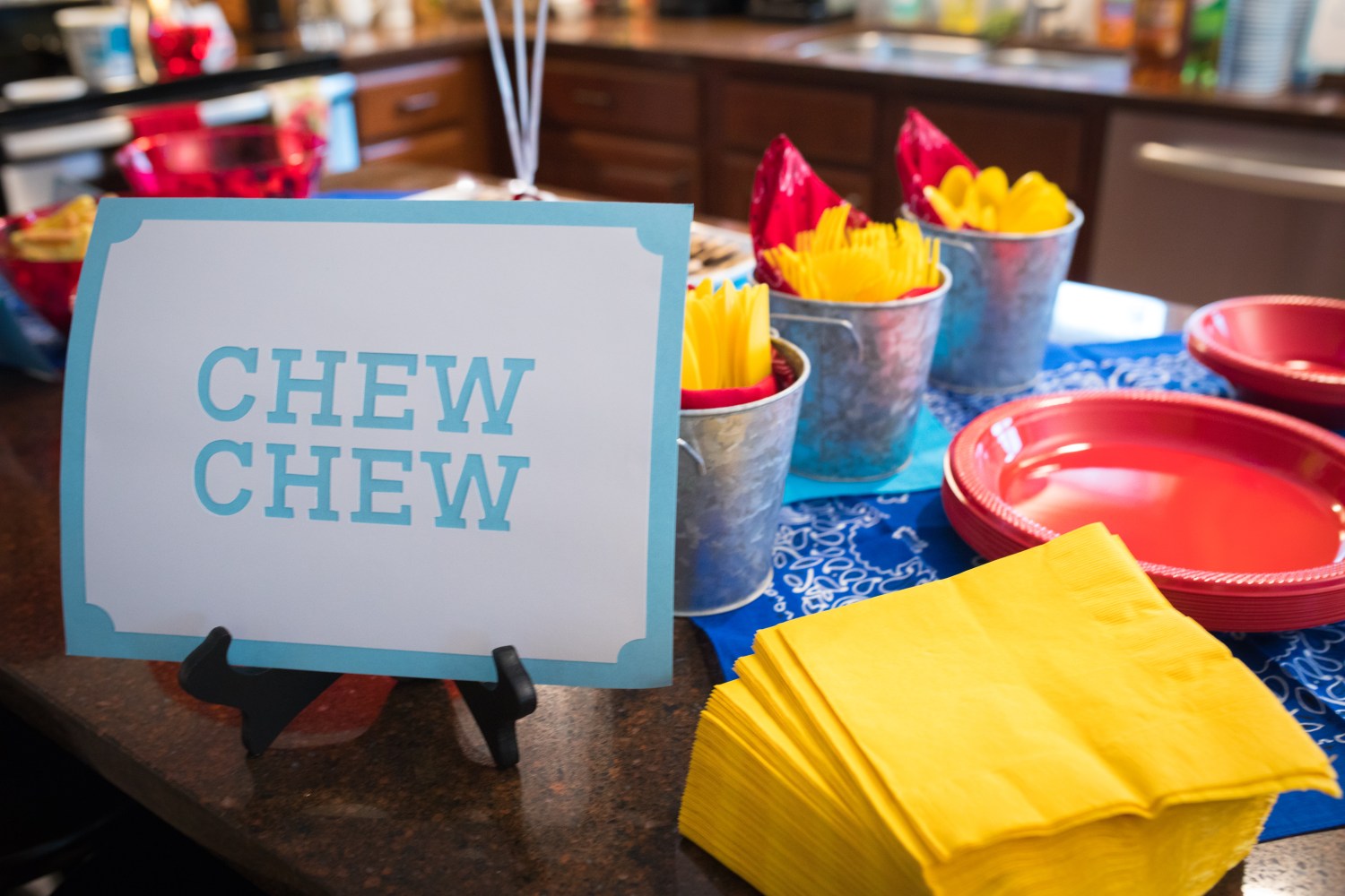 ConorsFirstBdayParty-9936-2